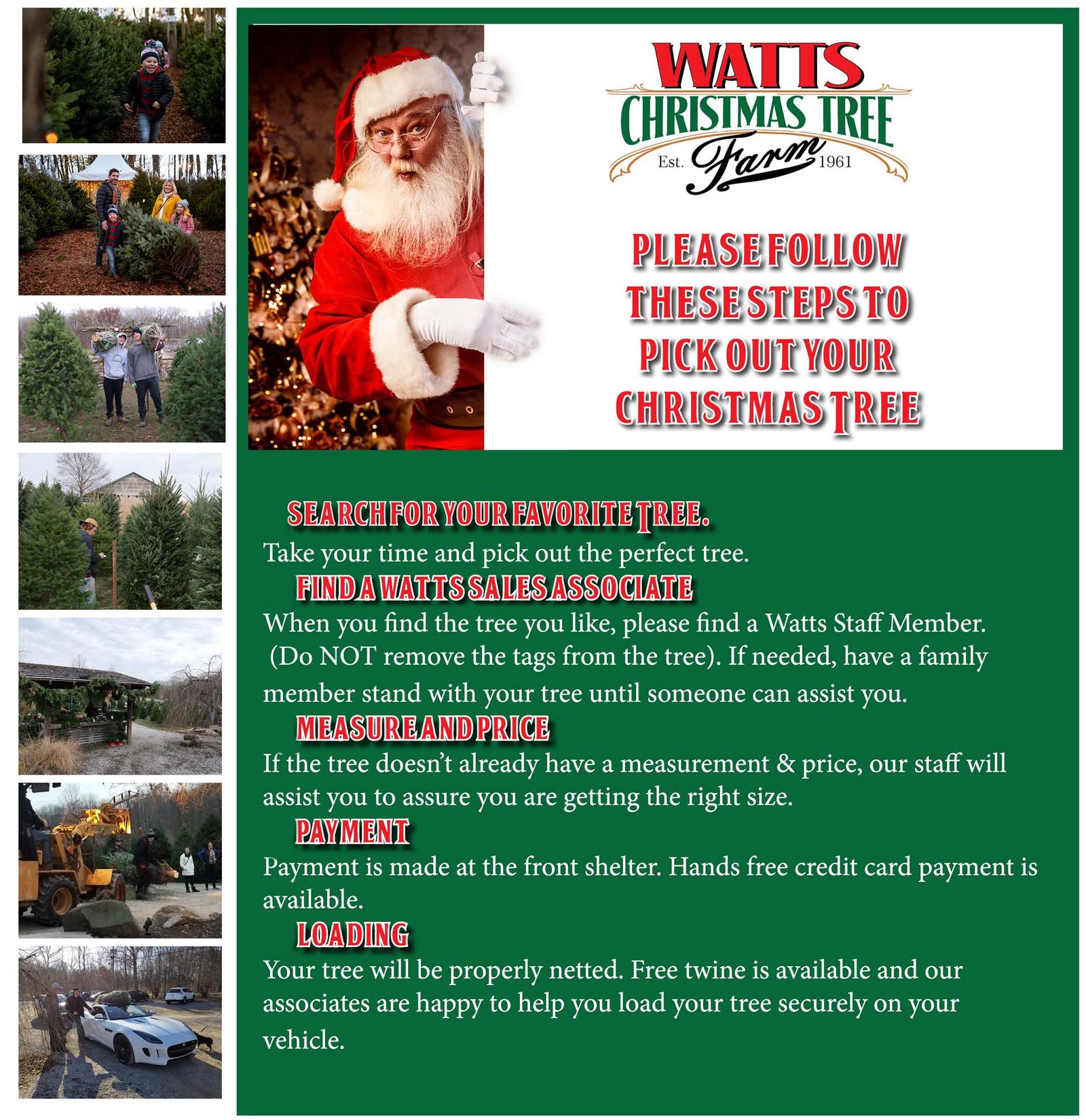 Watts Christmas Tree Farm